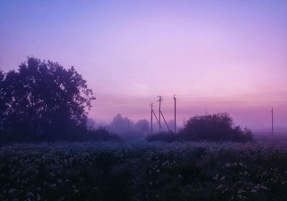 开云体育官网：开启极致体育新体验